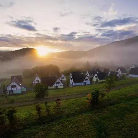 Διαμέρισμα Holiday Flat Im Eifel - Dmg06101c-p